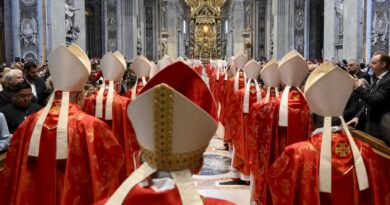Lessons in Leadership Transitions: From the Vatican to the Ballot Box